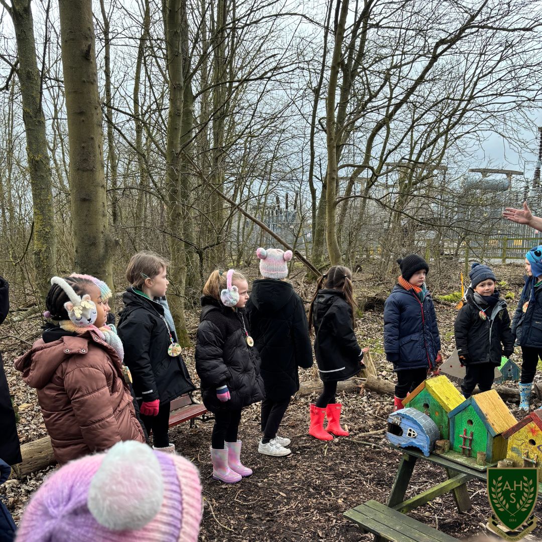 Pupils exploring the forest 